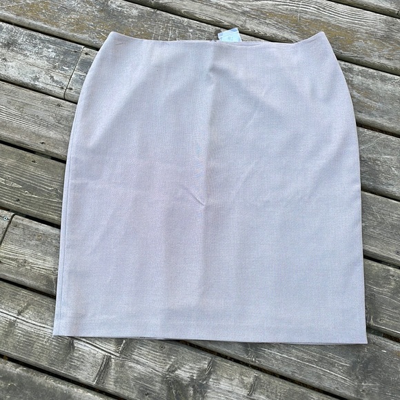 Laura Plus Dresses & Skirts - NWT Laura Plus Lined Skirt